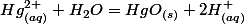 Hg_{(aq)}^{2+}+H_{2}O=HgO_{(s)}+2H_{(aq)}^{+}